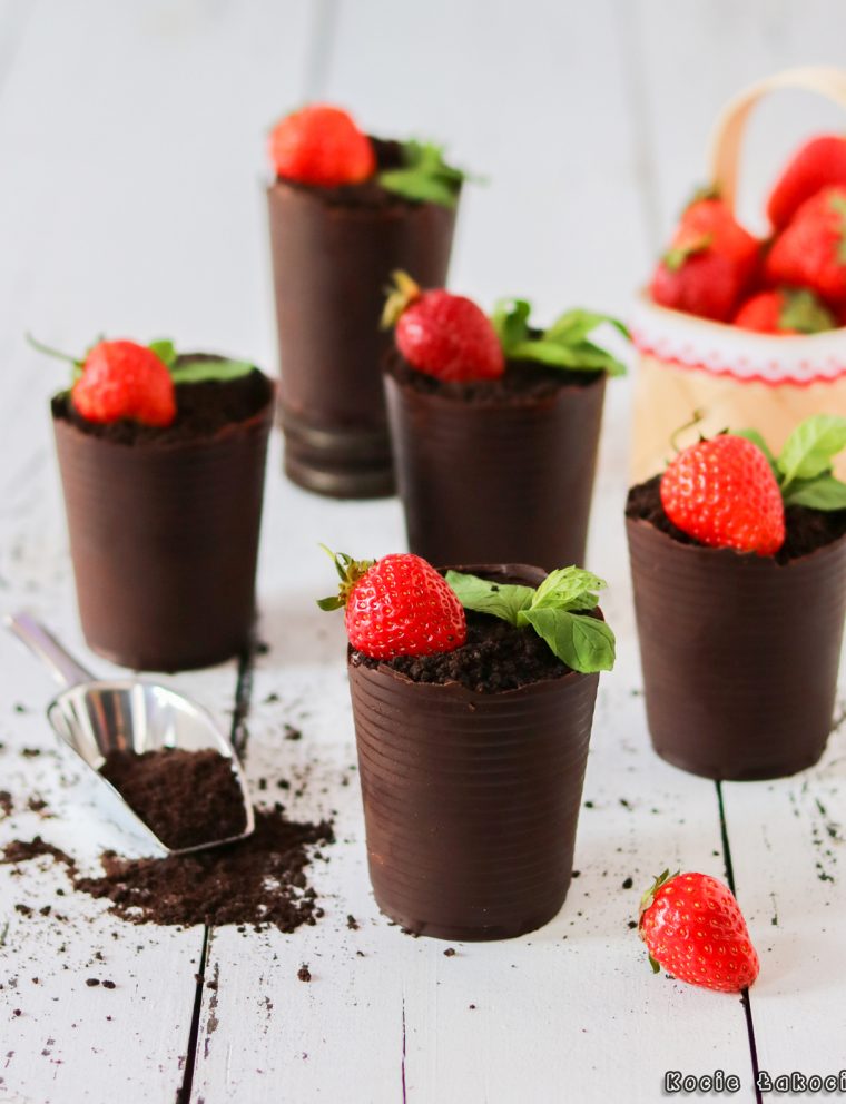 czekoladowe doniczki